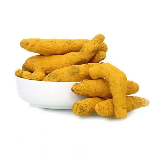 Turmeric Liquid Extract - Curcuma longa Product vendor