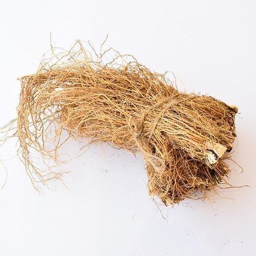 Khus Root - Vetiveria Zizanioides - Vetiver Root - TheWholesalerCo