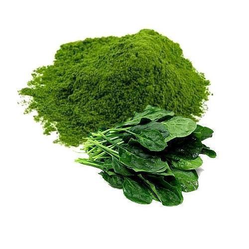 SPINACH-Vegetable Powder-पालक, கீரை, পালং শাক, ಸೊಪ್ಪು, ചീര, పాలకూర| Wholesale price 1 Kg,5 Kg |