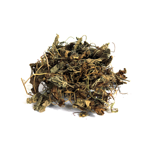 Gul banafsha Extract - Viola Odorata