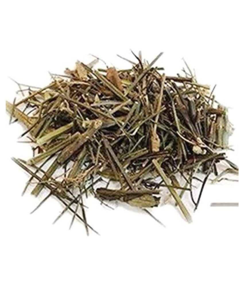 Kalmegh leaves - Chirayta Hara - Andrographis Paniculata | TheWholesalerCo |