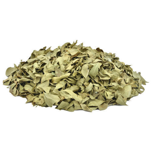 Henna Leaves - Mehndi Patta - Mehandi Leaf - Lawsonia inermis | 1Kg, 5Kg Wholesale price |