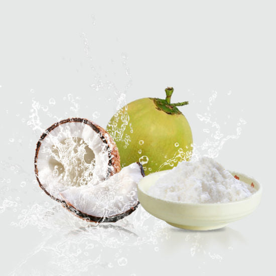 Coconut Water - Fruit Powder - Nariyal - Cocos nucifera L | 1Kg, 5Kg Wholesale price |