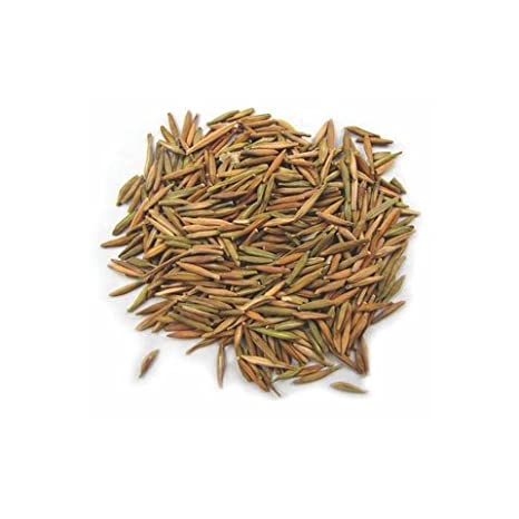 Inderjau Kadwa - Inderjoo Kadwa - Holarrhena Pubescens | 1Kg, 5Kg - Wholesale price |