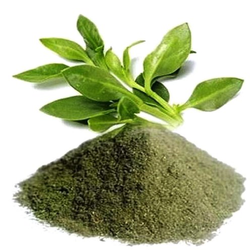 thewholesalerco-Kalmegh Powder - Chirayta Hara - Andrographis Paniculata