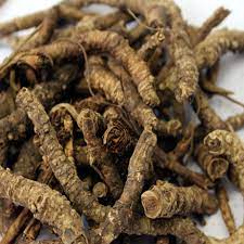 Kutki root - Katuki root - Picrorhiza Kurroa - Hellabore | 1Kg, 5Kg Wholesale price | WholesalerCo