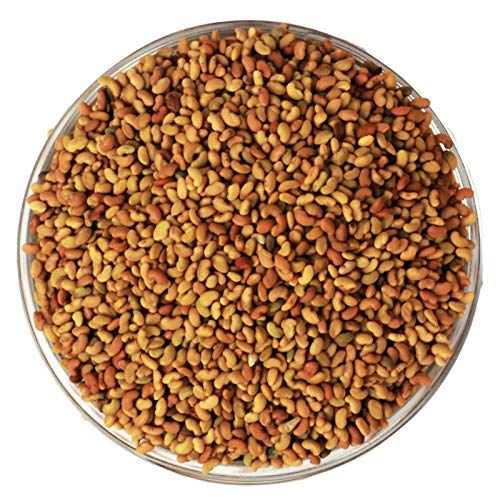 Alfalfa Seed Extract - Medicago sativa