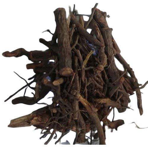 Chitrak Roots - Chita Mool - Chita Root - Chita Jadd - Plumbago Indica Root | WholesalerCo