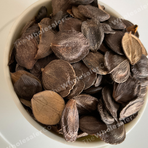 Parijat Patta seed - Harshringar Beej - Harshingar Seeds - Paarijaat Beej - Nyctanthes Arbor-Tristis | TheWholesalerCo