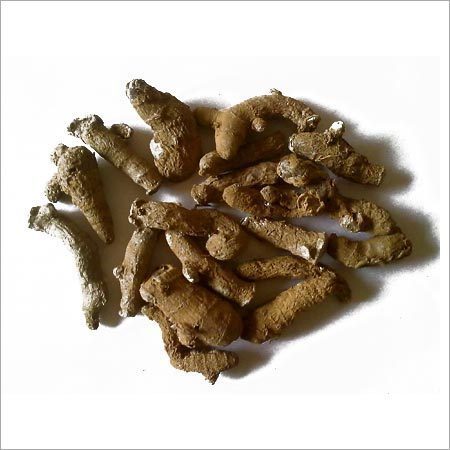 Kachur - White Turmeric - Curcuma Zedoaria | TheWholesalerCo