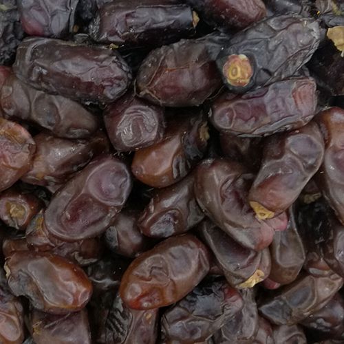 Khudri Dates - Khudari Khajur | TheWholesalerCo